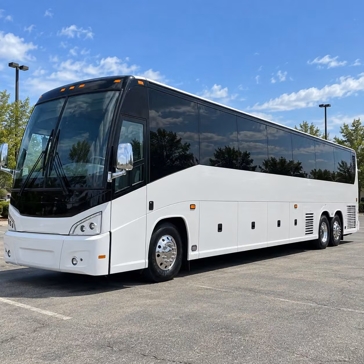 brooklyn field trip bus rentals to the brooklyn museum and prospect park