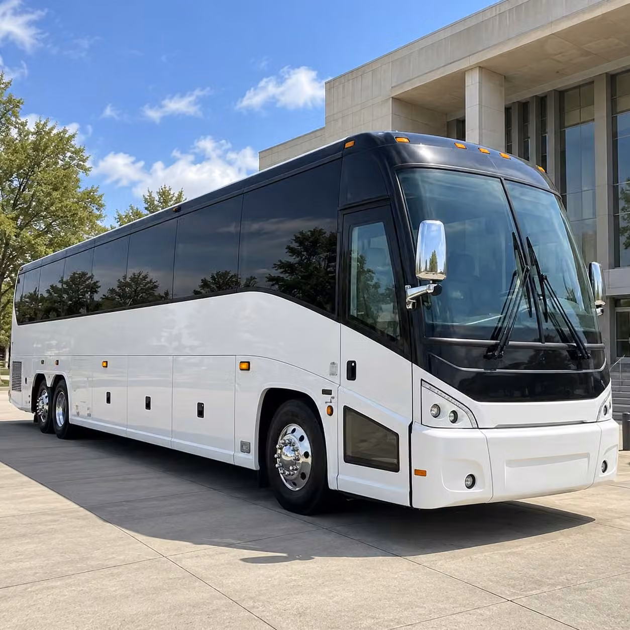 charter buses for brooklyn children s museum and the new york aquarium field trips
