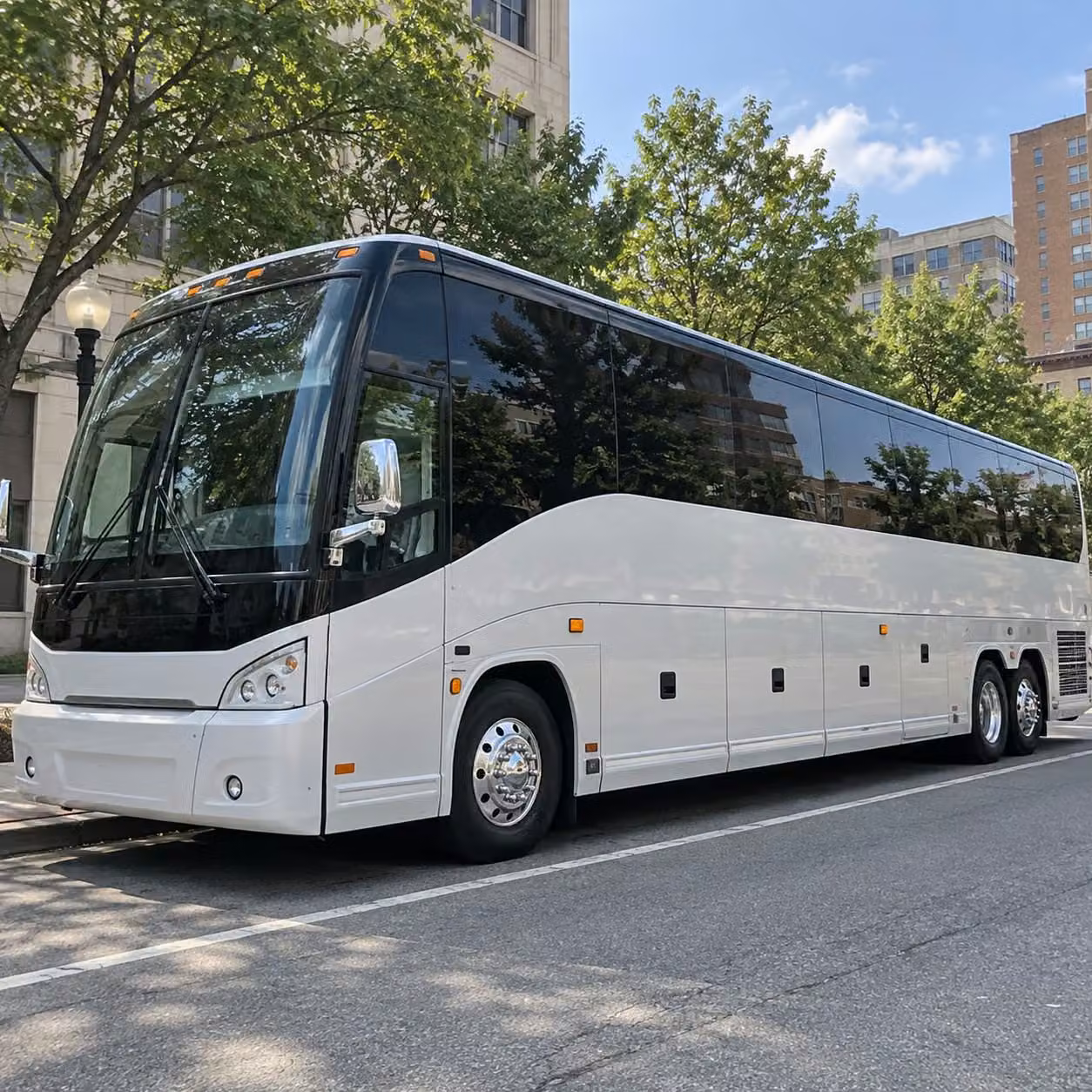 school group transportation to the brooklyn botanic garden and bric arts